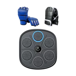 Smart Boxing Trainer — Smart Boxing Trainer, Binchi Keji Travel
