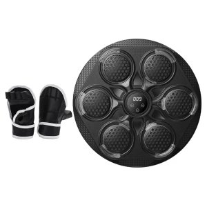 LED Bluetooth Smart Electronic Music Training Boxing Bag — Smart Boxing Trainer, Binchi Keji Travel