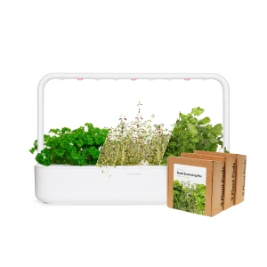 Big “Steak Seasoning” Kit — Indoor Garden, Click & Grow