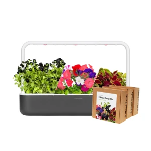 Big “Vibrant Flower” Kit — Indoor Garden, Click & Grow