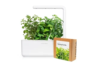 Small Herbal Tea Growing Kit — Indoor Garden, Click & Grow