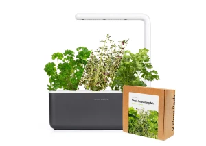 Small Steak Seasoning Kit Bundle — Indoor Garden, Click & Grow
