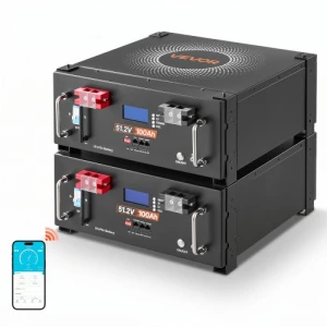 LiFePO4 Lithium Battery, 2 Pack — Home Battery, VEVOR