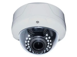 1080P Fisheye Panoramic Surveillance Camera — Security Camera, Bluecctv
