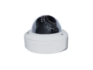 Fisheye Panoramic Mini Vandal Camera — Security Camera, Bluecctv