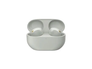 True Wireless In-Ear Headphones — Wireless Earbuds, Sony