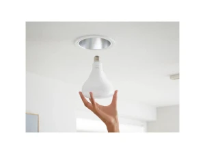 BR30 LED smart bulbs, white and color ambiance — Smart Light Bulb, Hue