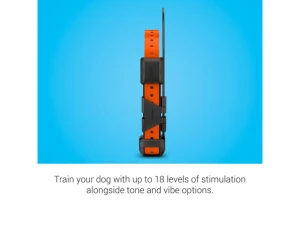 GPS Dog Tracking and Training Collar — Dog GPS Tracker, Garmin