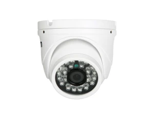 Dome IP Network Camera — Security Camera, ESCAM Technology Co., Ltd
