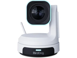 PTZ Camera X1 30W — Security Camera, BirdDog