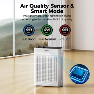 Large Room Air Purifier with H13 HEPA Filter and PM 2.5 Sensor — Air Purifier, TERAIR