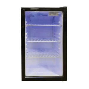 Mini Fridge Beverage Refrigerator Cooler, Electactic