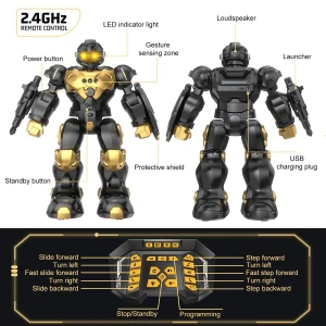 Gesture Sensing RC Robot Toy, Semour