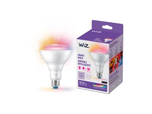 Color LED Smart Bulb — Smart Light Bulb, WiZ