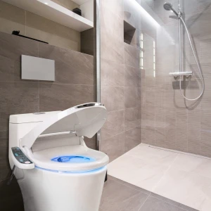 Electric Bidet Toilet Seat, BidetMate