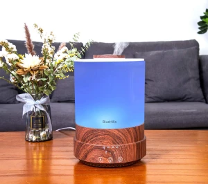 Premium Essential Oil Diffuser & Air Humidifier — Essential Oil Diffuser, BlueHills