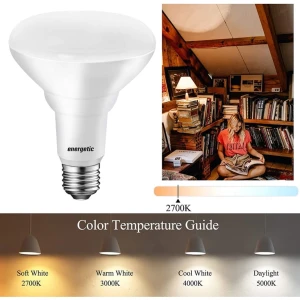 6-Pack LED Recessed Light Bulb, ENERGETIC SMARTER LIGHTING