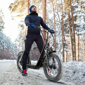 Foldable Electric Scooter with Seat — Electric Scooter, Caroma
