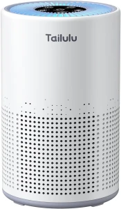 H13 True HEPA Air Filter Portable Air Purifier — Air Purifier, Tailulu