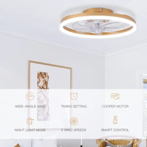 Modern Gold Ceiling Fan with Lights, STERREN