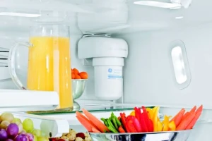 Refrigerator Water Filter, GE