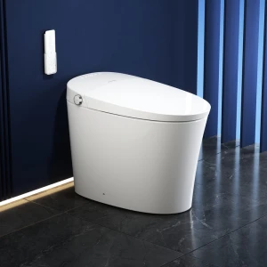 Smart Toilet with Bidet, SR SUN RISE