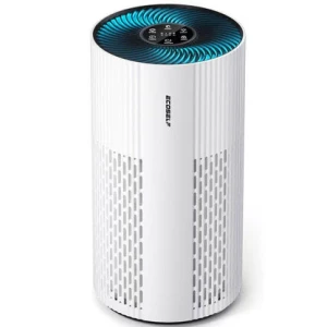 Large Room Air Purifier, ECOSELF