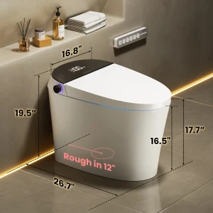 Smart Bidet Toilet, CANEST