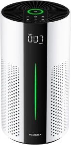 Air Purifier for Large Rooms — Air Purifier, ECOSELF