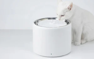 Cat Water Fountain with Wireless Pump — Cat Water Fountain, PETKIT