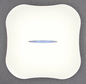 Water Leak Detector with App Notification, METAK