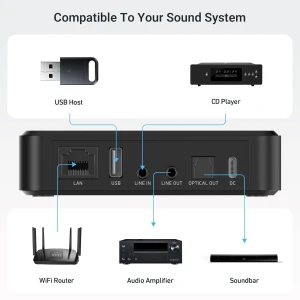 Wireless Music Streamer, Arylic