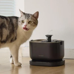 Cordless Cat Water Fountain — Cat Water Fountain, PETLIBRO