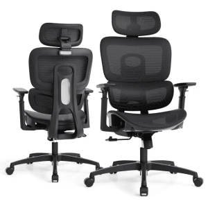 Ergonomic Office Chair with Adjustable Headrest, 3D Armrests, and Lumbar Support — Smart Chairs, Magshion