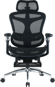 Ergonomic Office Chair with Footrest — Smart Chairs, SIHOO