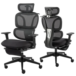 Foldable Office Chair with Foot Rest — Smart Chairs, HForesty