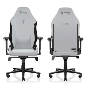 Gaming Chair - Reclining, Ergonomic & Heavy Duty Computer Chair with 4D Armrests, Magnetic Head Pillow & Lumbar Support... — Smart Chairs, Secretlab