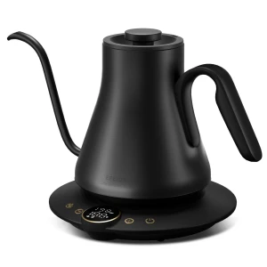 Gooseneck Electric Kettle with Temperature Control — Electric Kettle, INTASTING