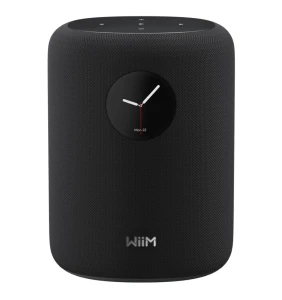 Smart Speaker with Touch Display — Smart Speaker, WiiM