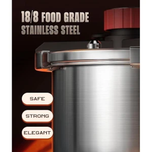 Stainless Steel Pressure Cooker — Multicooker, ZILODE