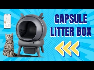 Automatic Self Cleaning Litter Box — Self-Cleaning Litter Box, Furrykiddy