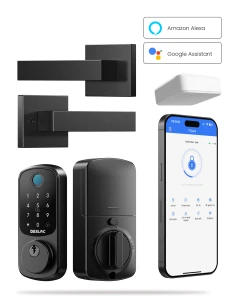 B200 Fingerprint Smart Lock with 2 Lever Handles — Smart Lock, DESLOC