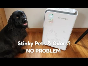 Large Pet Air Purifier — Air Purifier, Trucozie