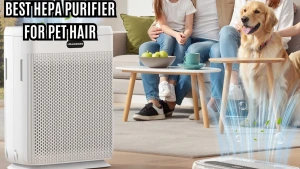 Large Room Air Purifier 3000 sq.ft with Washable Filters — Air Purifier, Visit the HEARBOBO Store