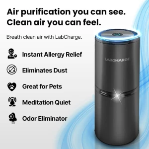Small Ionic Air Purifier for Home & Bedroom – Silent HEPA Filter – Covers 250 Sq Ft – For Pet Hair, Smoke, Dust, Odors &... — Air Purifier, Lab Charge