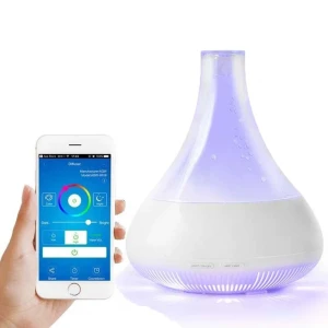 Smart Aromatherapy Diffuser & Humidifier — Essential Oil Diffuser, Ebooine