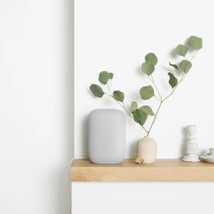 Bluetooth Speaker — Smart Speaker, Google
