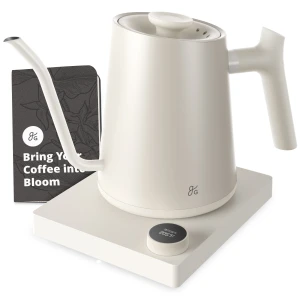 Electric Gooseneck Kettle with Precision Temperature Control — Electric Kettle, Greater Goods
