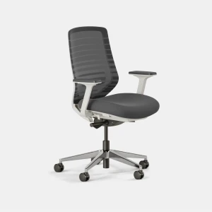 Ergonomic Chair — Smart Chairs, Branch