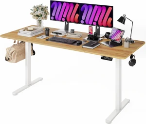 Large Standing Desk with Dual Monitor Setup — Standing Desk, Monomi